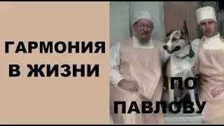Гармонизация жизни по Павлову