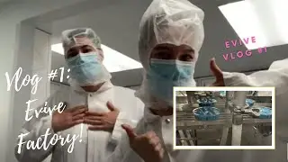 VLOG | PRODUCTION FACTORY | SAPHIR SMOOTHIE!