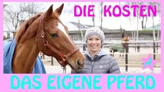 Was kostet das eigene Pferd I Das eigene Pferd - Teil 1 I Kosten einmalig + monatlich
