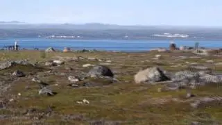 Скамейка и окрестности, август 2015