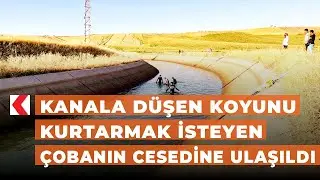 Kanala düşen koyunu kurtarmak isteyen çobanın cesedine ulaşıldı