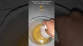 CARA PANEN MADU LEBAH CERANA