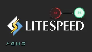 How to Optimize WordPress Website Cache to 99% Using LiteSpeed Web Server.