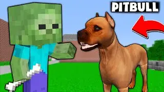 KÜÇÜK ZOMBİ BARINAKTAN PİTBULL SAHİPLENDİ 😱 - Minecraft