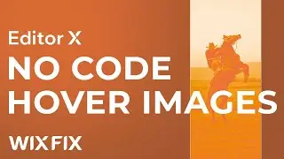 No Code Image Hover Reveal in Editor X | Wix Fix