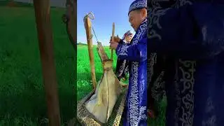 Eng zoʻr QIMIZ Mehnatda mi? 😊 