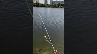 На рыбалке днём. Какая рыба ловится? 