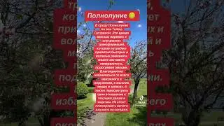 #рекомендации