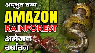 Amazon Rainforest Facts In Hindi | Largest Forest In the World #facts #amazonrainforest #amazonriver
