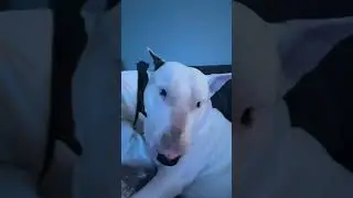 Eli fighting sleep 😴 🤪❤️