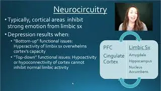Neurocircuitry