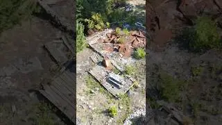 We bought an ABANDONED homestead…