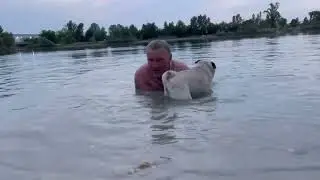 Drazsival a nap végén