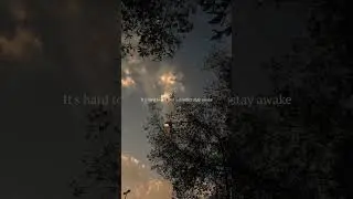 Owl City - Fireflies #storywa #shorts