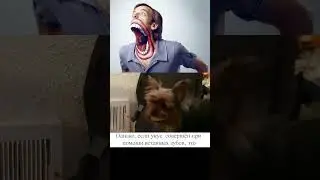 Укус с отягчающими обстоятельствами 😆😆😆
