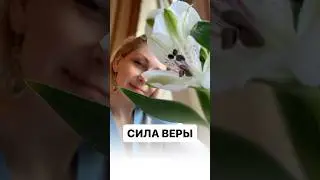 Сила веры #психология #психологияличности #силамысли