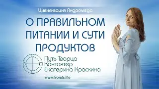О правильном здоровом питании и сути продуктов