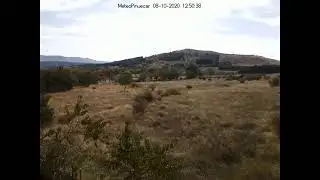 Emisión en directo desde Piñuecar