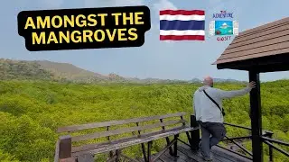 First Time in a Mangrove | Pranburi Forest Park, Thailand