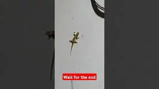 #meme #comedy #funnyvideo