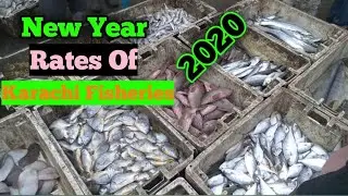 Latest Rates of Fish,Prawn, Crab,Lobster Karachi Fishery Market on 1st Jan 2020