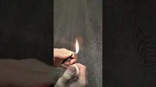 Спиртомёт