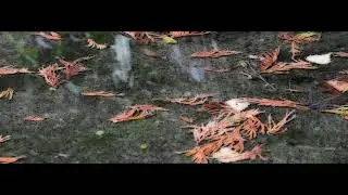 Distortion of Water
