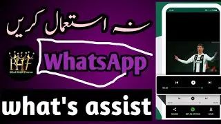 status saver how to use what's assist,          ,,,, اب کوئی بھی فکر نہیں   ،،،،،،،،، WhatsApp