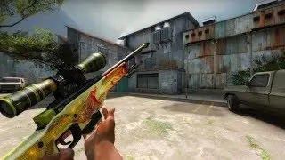 CS:GO  Snapshot