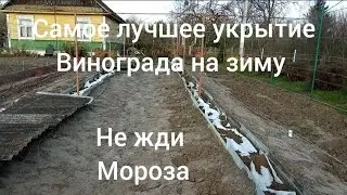 Самое лучшее укрытие винограда на зиму .Пора укрывать