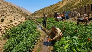🍅🍆Fresh Farm: Mountain Garden Life 🏡 | Nomad Man Irrigates Crops💦 & Harvests Fresh Vegetables 🥬🫜