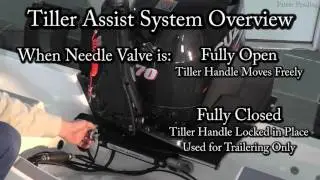 Tiller Assist Overview