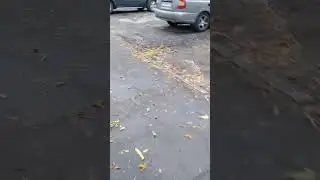 Данный водитель, нарушил ПДД при повороте на дворовую территорию. Не уступил дорогу пешеходу.