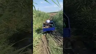 мотороллер муравей