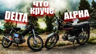 АЛЬФА VS ДЕЛЬТА | КАКОЙ МОПЕД ЛУЧШЕ | МОПЕД АЛЬФА
