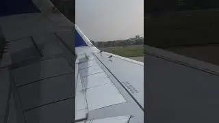 Bird riding on airplane wings