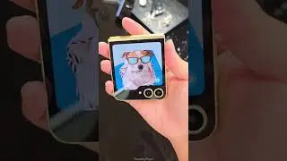 Samsung Galaxy Z Flip6 Hands-On Which Color Looks Best? #FoldablePhone #Tech #Samsung #SamsungZFlip6
