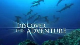 Turtle: The Incredible Journey (2011) - Official Trailer [HD]