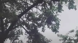 у меня есть маленькое кладбище людей,которые были мне дороги...