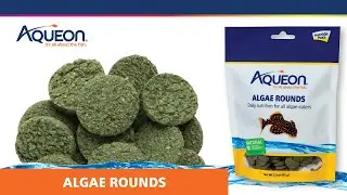 Aqueon Algae Round Fish Food Video