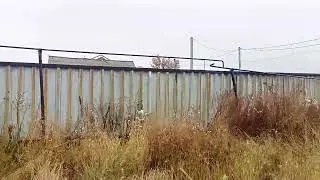 Ам жалау ❤️ қотағы тұрмай қалды
