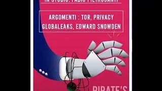 Pirate's Night Show #5 - Tor e Privacy con Fabio Pietrosanti (Naif)