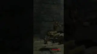 #playstationtrophy #tombraiderremastered #gameraider #laracroft #magnums #aurevoir #