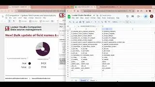 Looker Studio Companion - New extension feature to update names & descriptions of data source fields