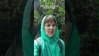 Costa Rica Adventures - Zip lining, Waterfalls, Sloths & Hot Springs