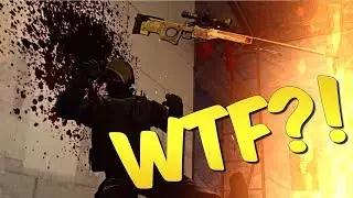 WTF?!