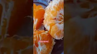 большие #мандарины #сортамандарин