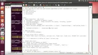 4 CASS Database   CQL Client