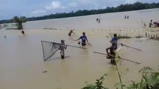 Fishing on rainy days | শ্রুতের পানিতে বেসে যাওয়া মাছ শিকার | সিলেট, বাংলাদেশ