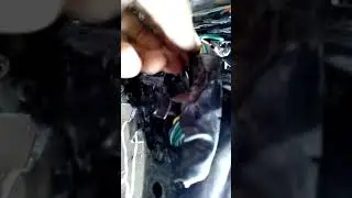 Новинка GS трофика